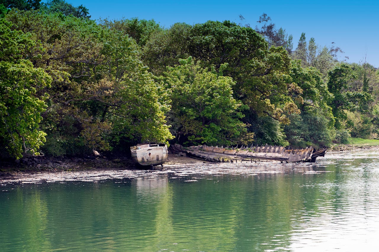 Explore the captivating scene of an old boat wreck amidst lush greenery by a serene river in England.