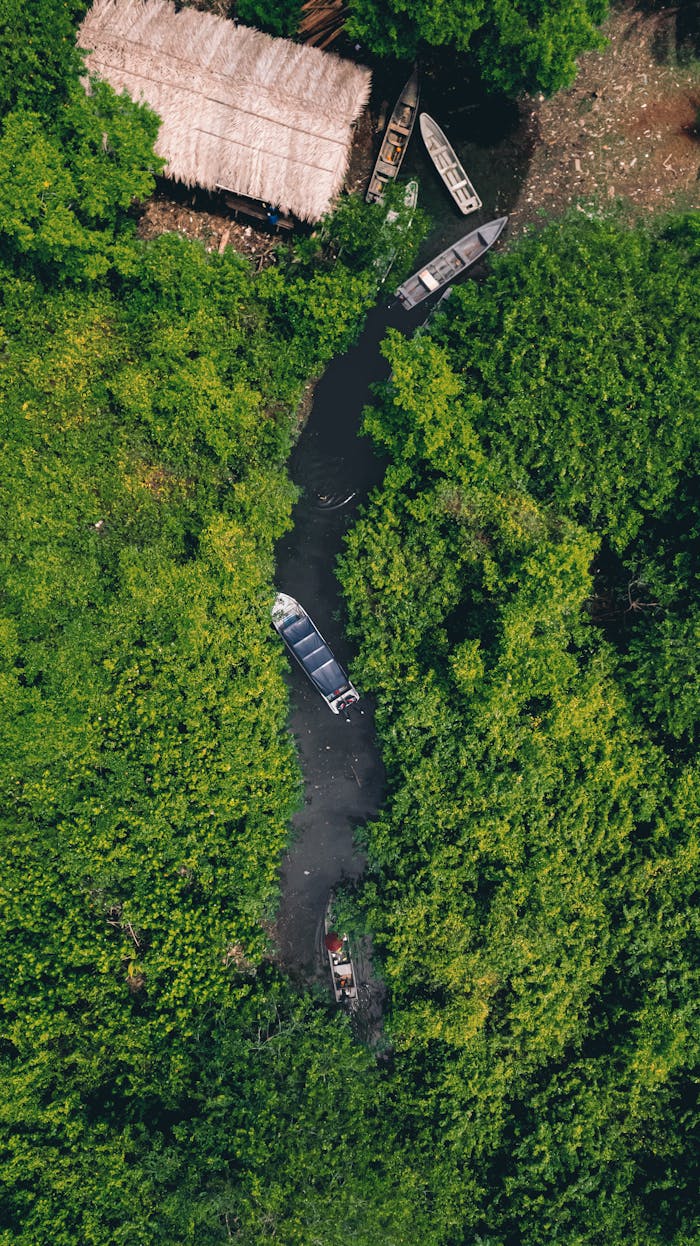 Home Captivating aerial view showcasing boats navigating a serene river in a dense forest setting.