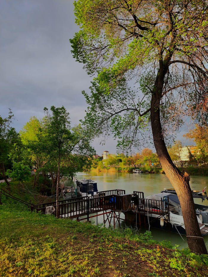 Beautiful riverside scene in Manavgat, Antalya, Turkey with lush trees and calm waters.