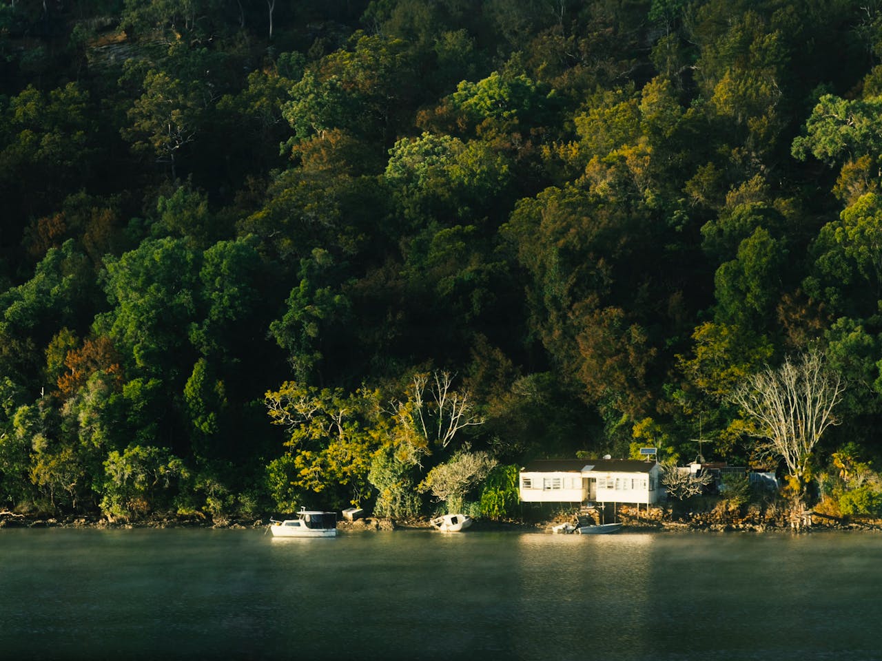 Home pexels-photo-35591710.jpeg